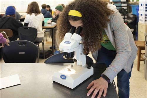Student looking through microscope
